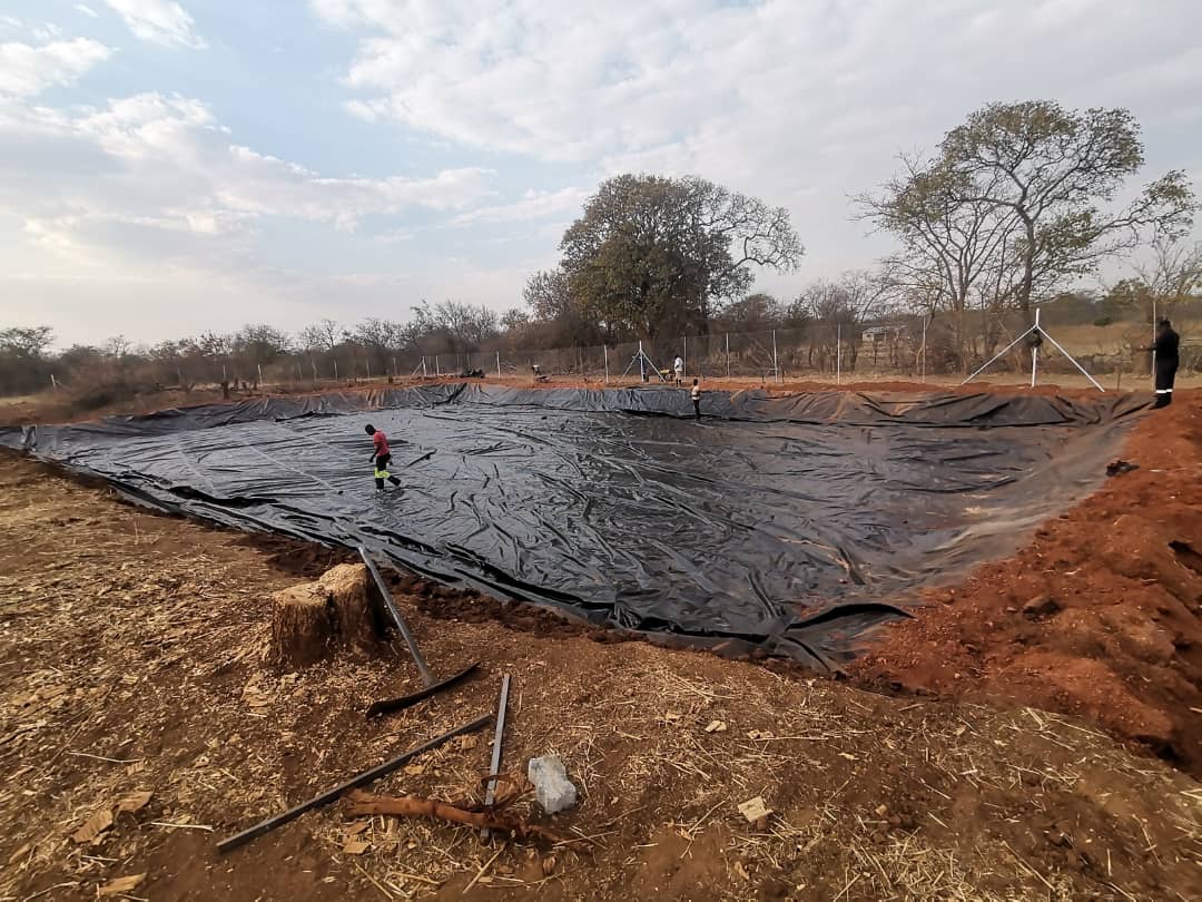 Fish Pond Construction